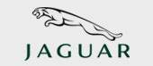 30 Jaguar
